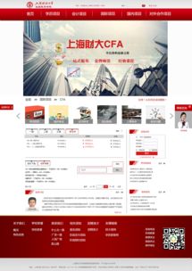 网站设计 用户体验与视觉美学的完美结合